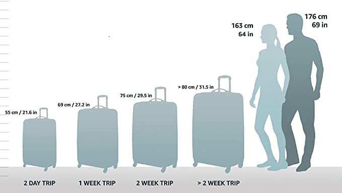 Safari Carter Set of 3 Trolley Bags with 360° Wheels